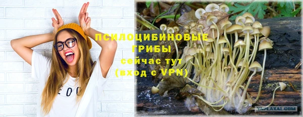 гидропоника Алексин