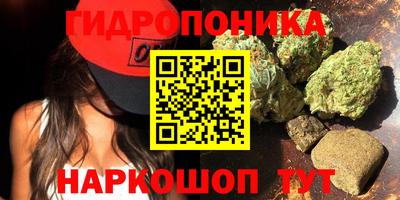 мдма Моздок
