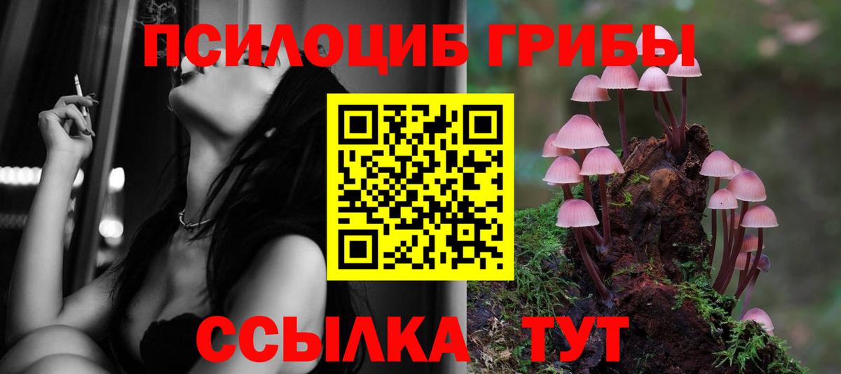 Галлюциногенные грибы прущие грибы Шадринск