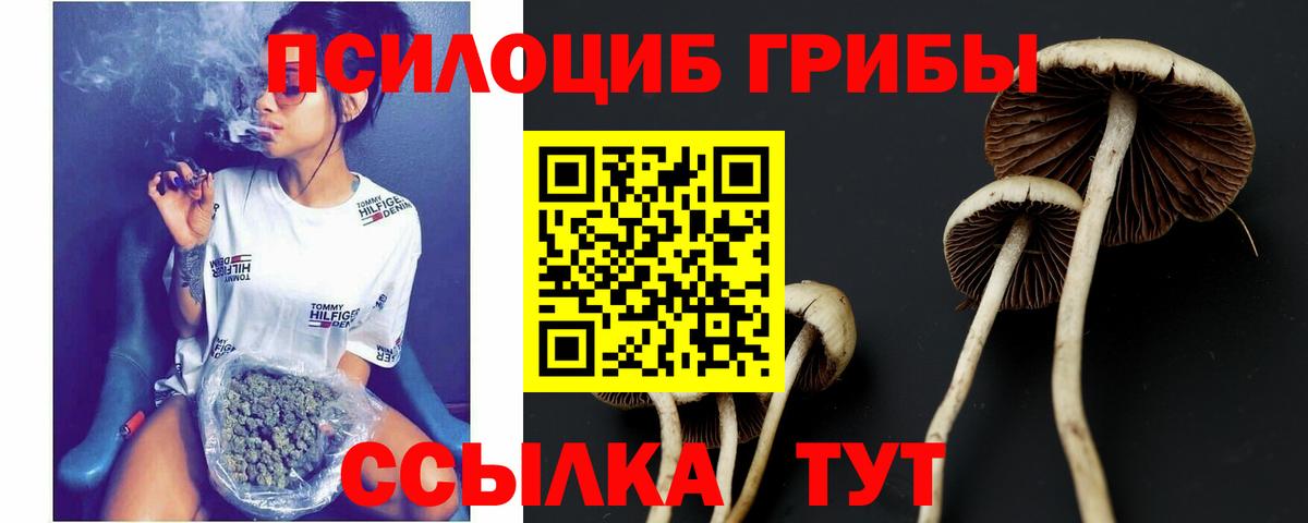 Галлюциногенные грибы мицелий  Вход с VPN  что такое   Шадринск 