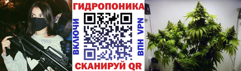 купить наркоту  Шадринск  МАРИХУАНА White Widow 